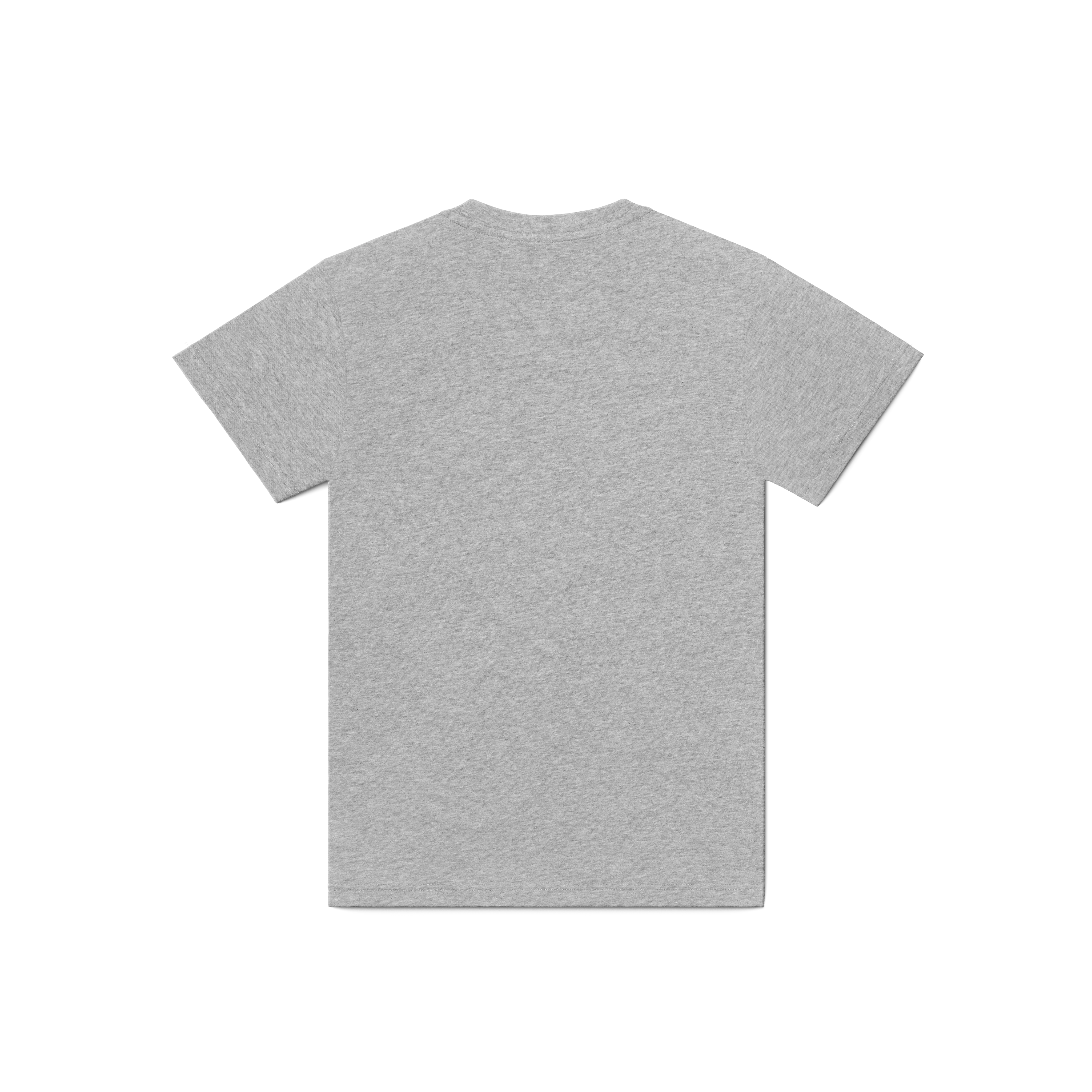 cotton t-shirt gray melange